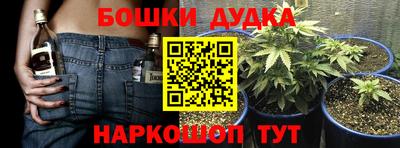 a pvp Донской
