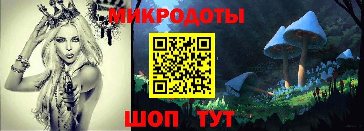 Псилоцибиновые грибы Psilocybine cubensis  Вход с VPN  Ленинск-Кузнецкий 
